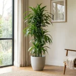 Plantas Que Aguentam O Calor