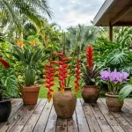 Flores Exoticas Que Crescem Em Vaso
